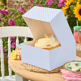 Blue Gingham 10" Cake Box