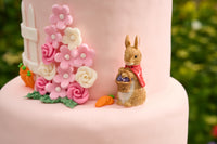 Beatrix Potter™ Peter Rabbit™ Luxury Cake Decoration Set featuring Jemima and Flopsy
