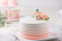 Beatrix Potter™ Jemima Puddle Duck Resin Cake Toppers Bulk